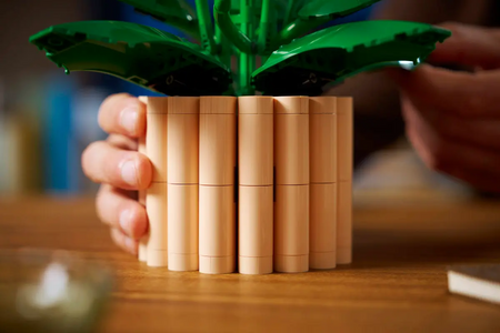 Lego 11504 Botanicals Skrzydłokwiat