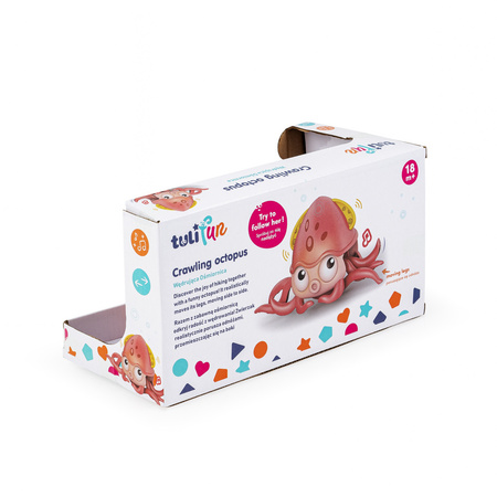 Tulifun Wędrująca Ośmiornica