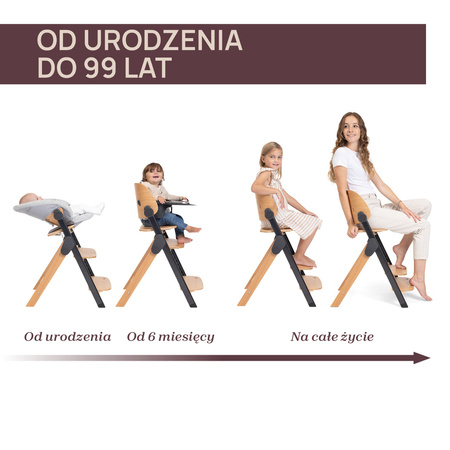 Chicco Krzesełko ewolucyjne Meraviglia Ebony