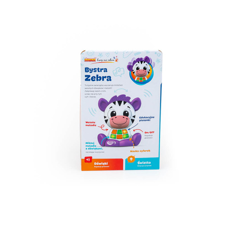 Dumel Bystra Zebra