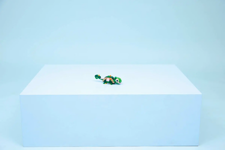 Lego 31377 Creator 3w1 Żółw i kwiat lilii wodnej