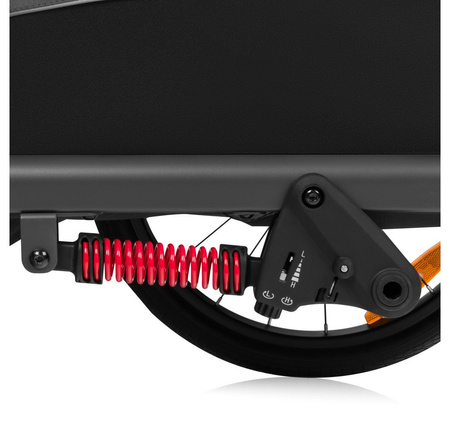 Lionelo Cama podwójna przyczepka rowerowa, wózek spacerowy Graphite