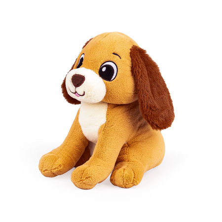 Dumel Uszaty Piesek Rafi