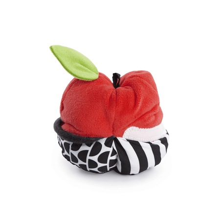 Baby Einstein Mata Sensory Panda