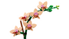 Lego 10343 Mała orchidea Botanical Collection
