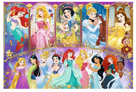 Trefl Puzzle Portrety Księżniczek 160 el.
