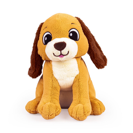 Dumel Uszaty Piesek Rafi