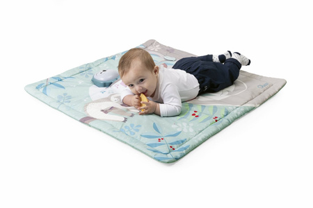 Chicco First Dreams SOWA, mata niemowlęca 2w1