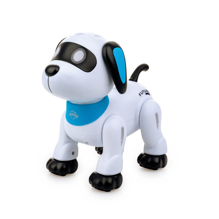 Dumel Psiak Akrobata Junior RC