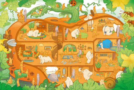 Przekroje. Owoce i warzywa. Agnieszka Sowińska