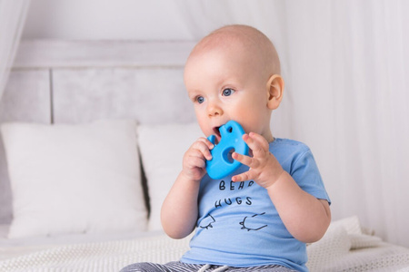 Gryzak Słonik GiliGums