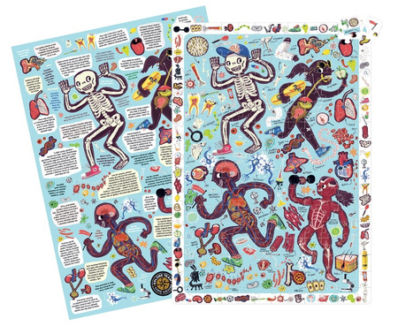 CzuCzu - Puzzle obserwacyjne. Ciało człowieka. Xplore Team