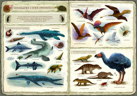 Opowiem ci mamo: Co robią dinozaury. Emilia Dziubak