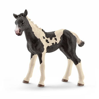 Schleich 13803 Źrebię rasy Pinto