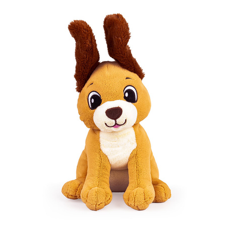 Dumel Uszaty Piesek Rafi