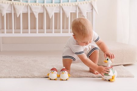 Dumel Discovery Kaczka Monika z maluchami PL