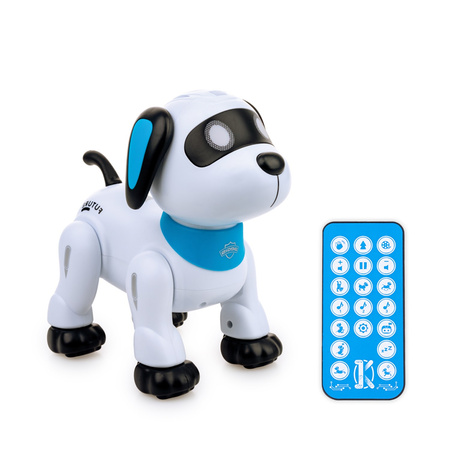 Dumel Psiak Akrobata Junior RC