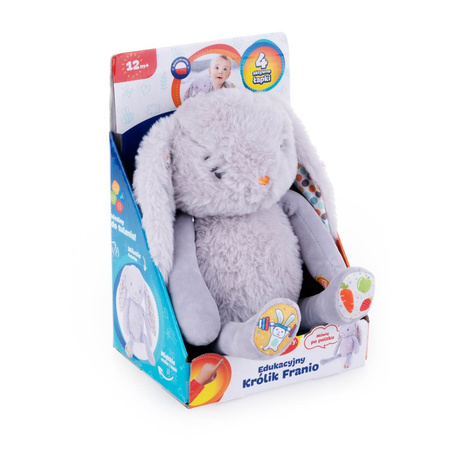 Edukacyjny Królik Franio Dumel Discovery