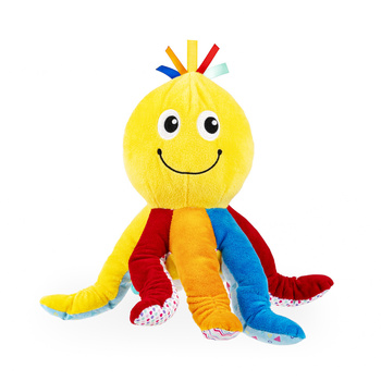 Dumel Wędrująca Ośmiornica