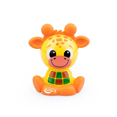 Dumel Bystra Żyrafa