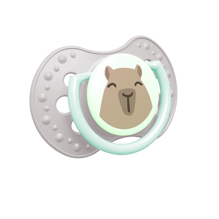 Lovi Smoczek silikonowy dynamiczny 0-6 m 2 szt CapiChill Boy