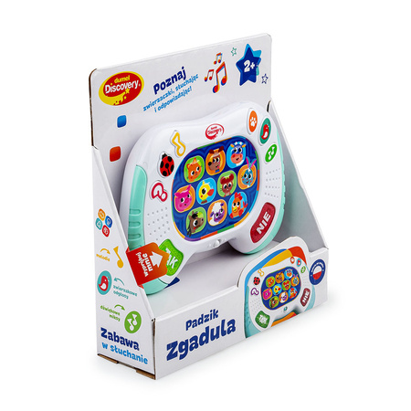 Dumel Discovery Padzik Zgadula