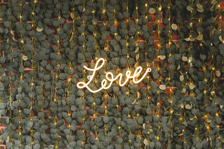 Girlanda Eukaliptus - LED, 2 m