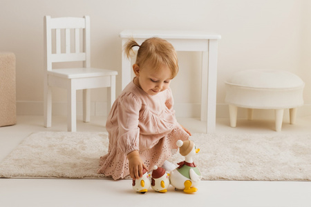 Dumel Discovery Kaczka Monika z maluchami PL