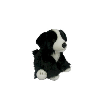 Smily Play Pies Border Collie Pluszak Maskotka 84404BD