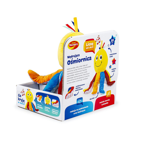 Dumel Wędrująca Ośmiornica