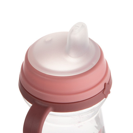 Canpol Babies Kubek z silikonowym ustnikiem FirstCup 250 ml BONJOUR PARIS