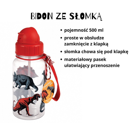 Rex London Zestaw do szkoły lunchbox i bidon ze słomką Dinozaury