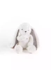 Szumisie Królik 5w1 z lampką szare uszka
