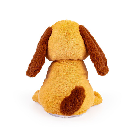 Dumel Uszaty Piesek Rafi