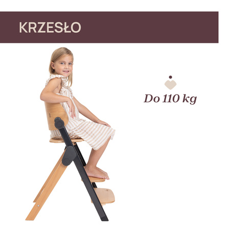 Chicco Krzesełko ewolucyjne Meraviglia Ebony