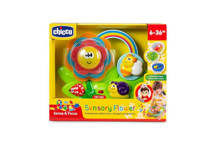 Sensoryczny Kwiatek Chicco