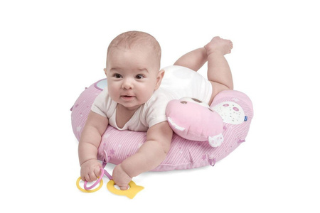 Gniazdko z poduszką First Dreams Różowe Chicco