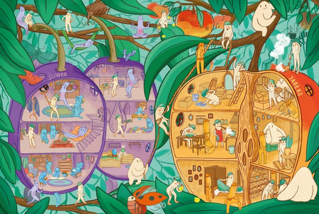 Przekroje. Owoce i warzywa. Agnieszka Sowińska