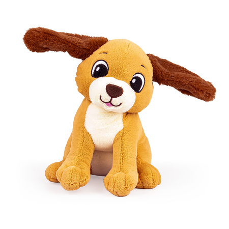 Dumel Uszaty Piesek Rafi