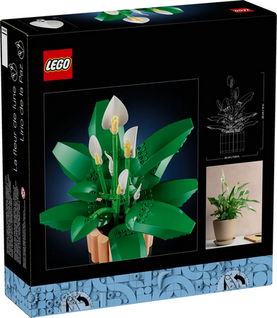 Lego 11504 Botanicals Skrzydłokwiat