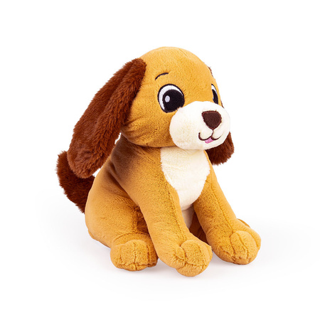 Dumel Uszaty Piesek Rafi