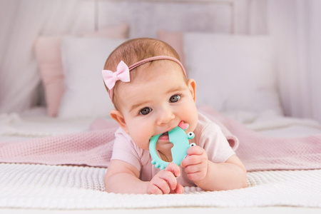 Gryzak Krab GiliGums