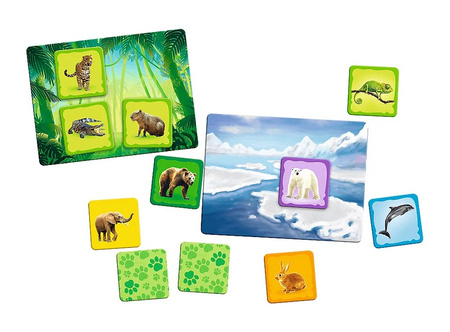 Gra Trefl Zwierzęta Świata Rodzina Treflików