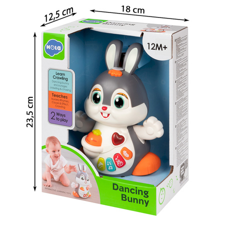 Hola Tańczący królik