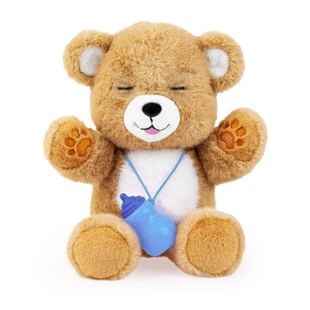 Dumel Niedźwiadek brunatny