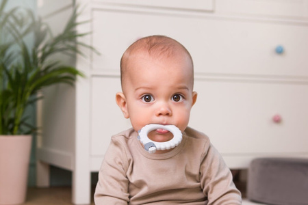 Gryzak Owca GiliGums