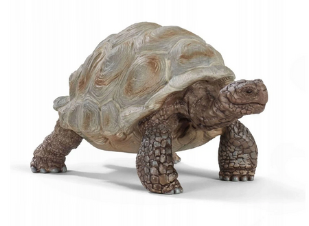 Schleich 14824 Żółw gigant