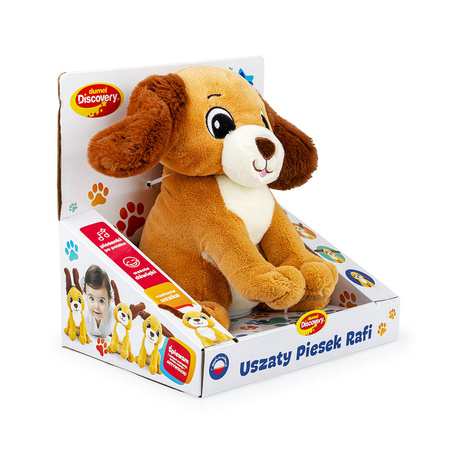 Dumel Uszaty Piesek Rafi
