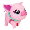Little Live Pets Świnka Piggly