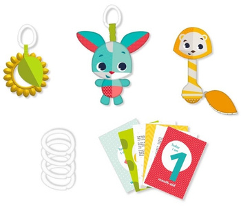 Tiny Love Zestaw zabawek dla dzieci z kartami do zdjęć